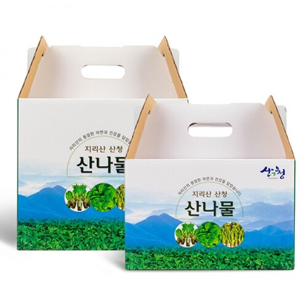 산엔청쇼핑몰,[봄나물기획전] 산나물 (산마늘,곰취,머위,음나무순 단품 200g/300g/500g) _임업후계자