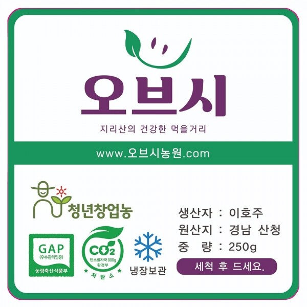 산엔청쇼핑몰,산청장희딸기 350g,500g _우리농원