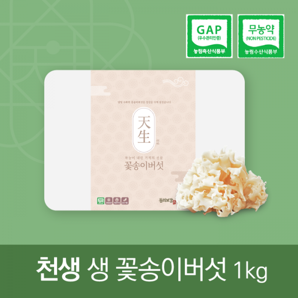 산엔청쇼핑몰,천생 생 꽃송이버섯 500g / 1kg _그린파워C&S