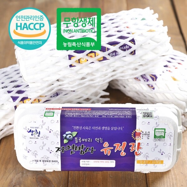 산엔청쇼핑몰,산청장희딸기 350g,500g _우리농원