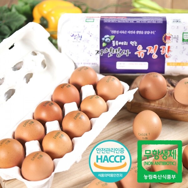 산엔청쇼핑몰,산청장희딸기 350g,500g _우리농원