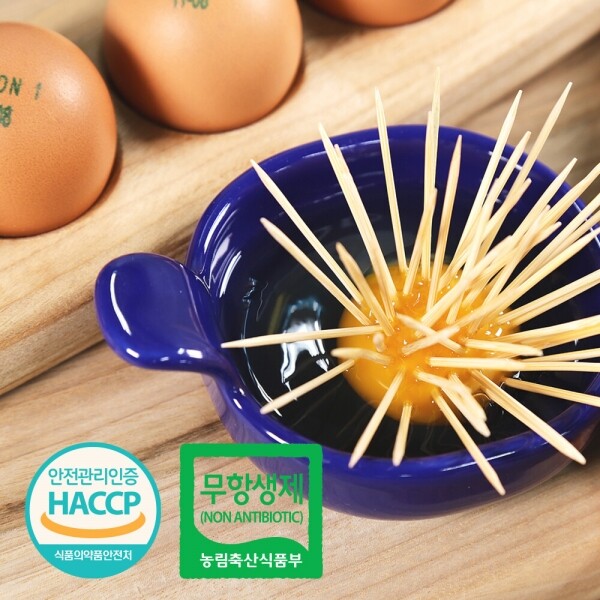 산엔청쇼핑몰,산청장희딸기 350g,500g _우리농원