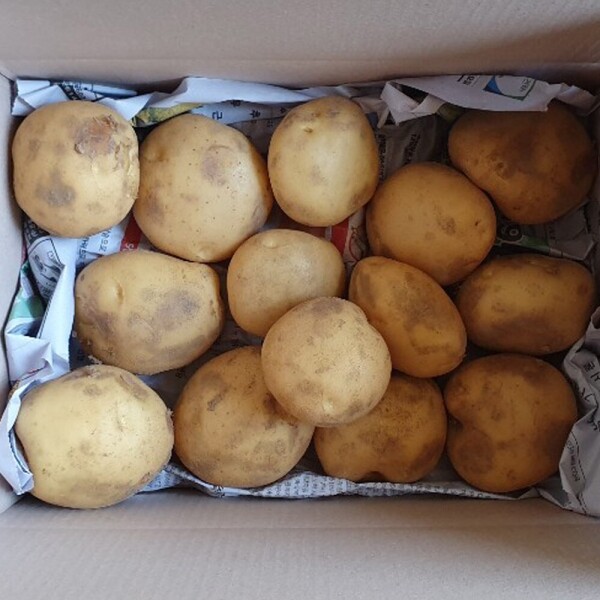 산엔청쇼핑몰,산청장희딸기 350g,500g _우리농원
