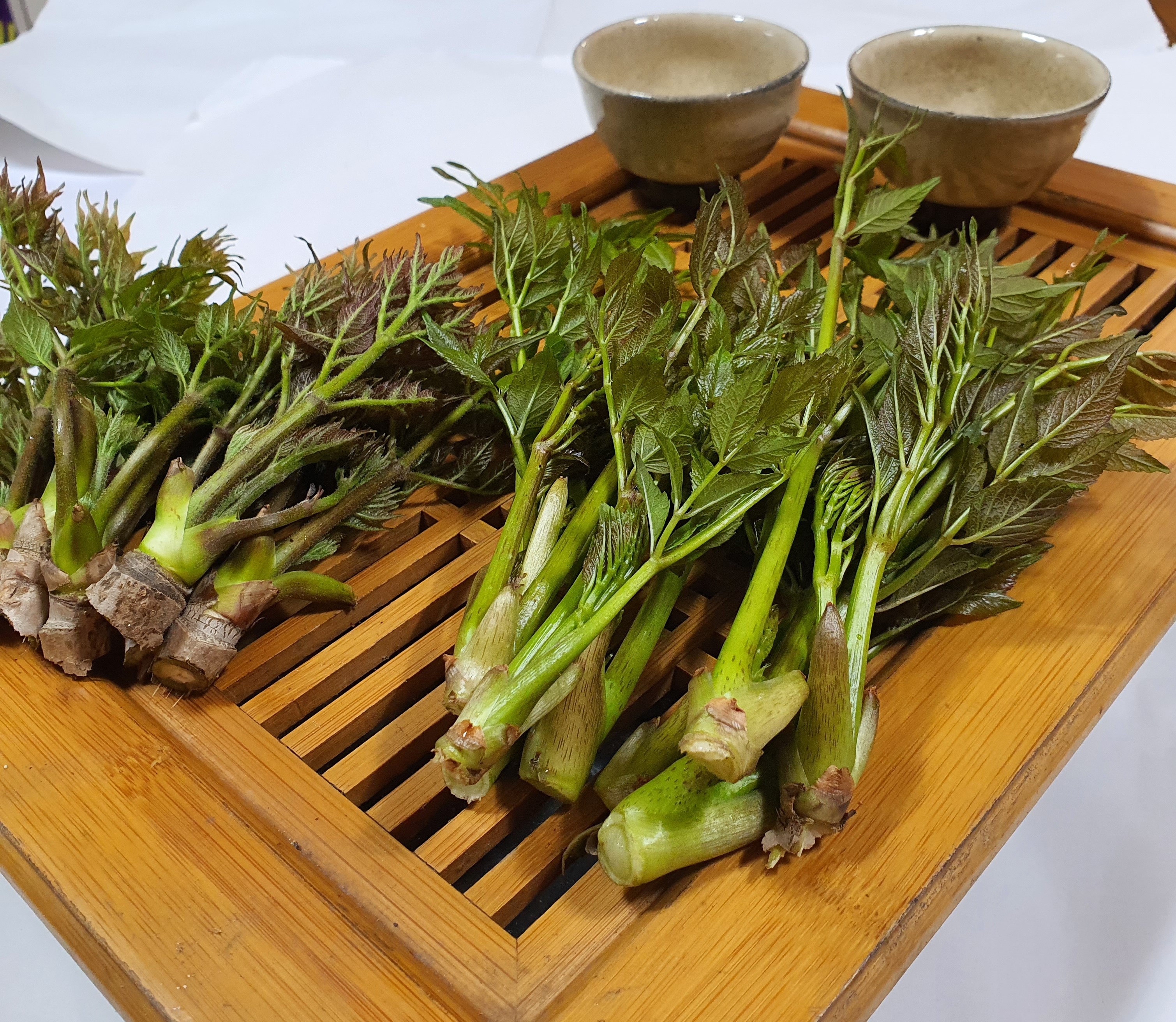 산엔청쇼핑몰,산청장희딸기 350g,500g _우리농원