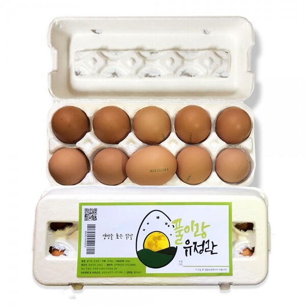 산엔청쇼핑몰,산청장희딸기 350g,500g _우리농원