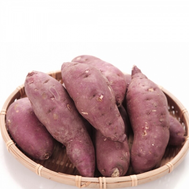 [2023 추석기획전] 지리산 산청 밤고구마 5kg _해오름약초