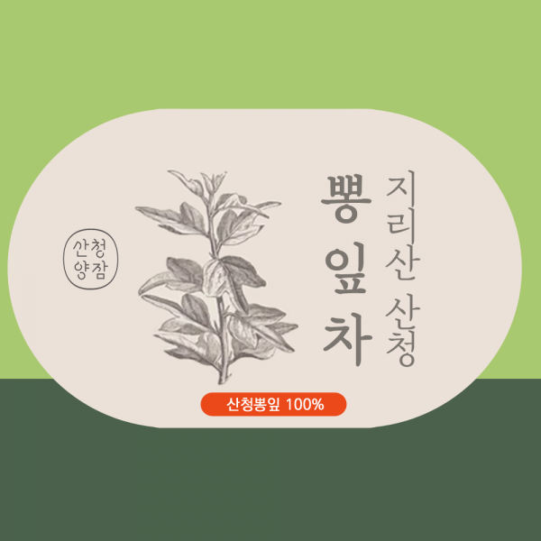 산엔청쇼핑몰,산청장희딸기 350g,500g _우리농원