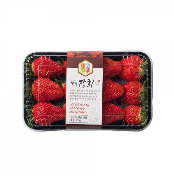 산엔청쇼핑몰,산청장희딸기 350g,500g _우리농원