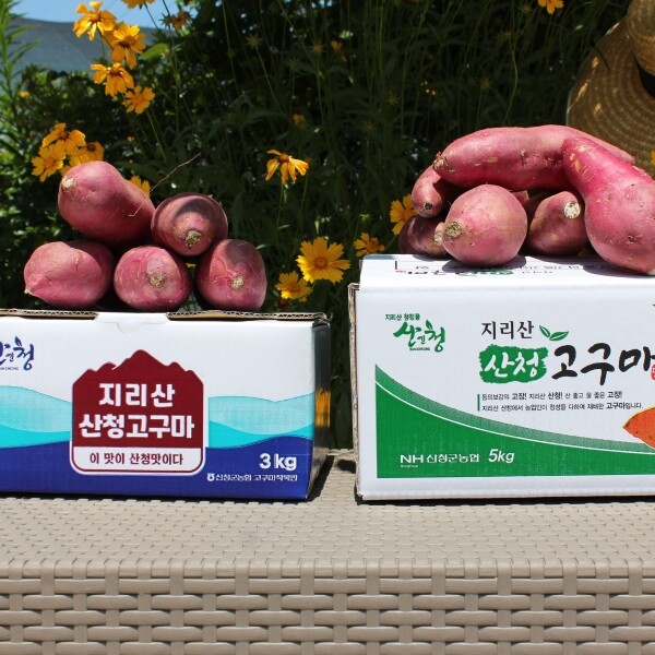 산엔청쇼핑몰,산청장희딸기 350g,500g _우리농원