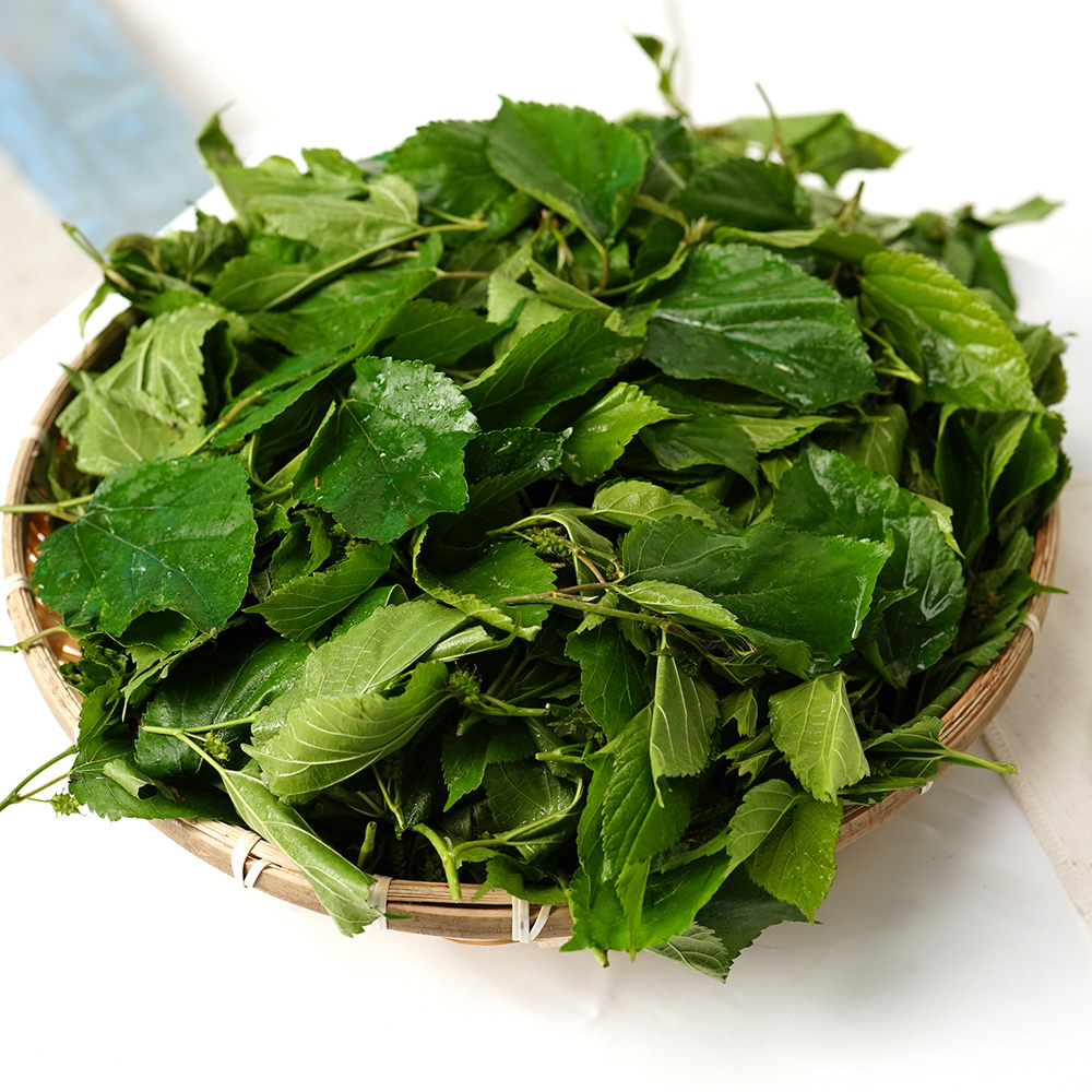 산엔청쇼핑몰,산청장희딸기 350g,500g _우리농원