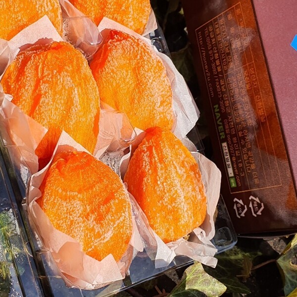 산엔청쇼핑몰,산청장희딸기 350g,500g _우리농원