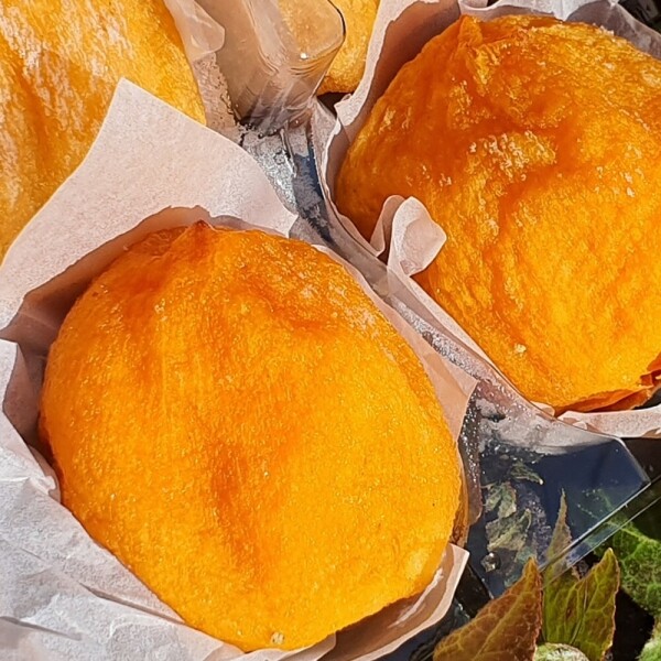 산엔청쇼핑몰,산청장희딸기 350g,500g _우리농원