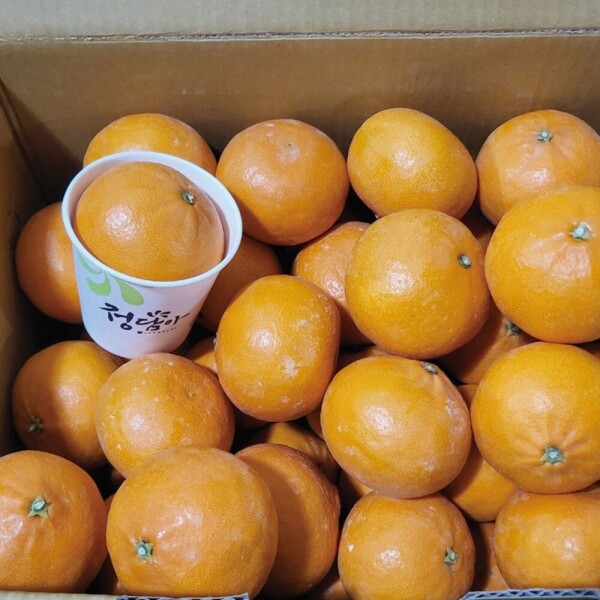 산엔청쇼핑몰,산청장희딸기 350g,500g _우리농원