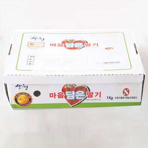 산엔청쇼핑몰,마음담은딸기 750g/1kg (설향)_웰빙그린딸기