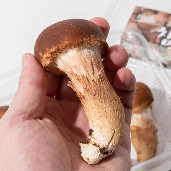 산엔청쇼핑몰,산청장희딸기 350g,500g _우리농원