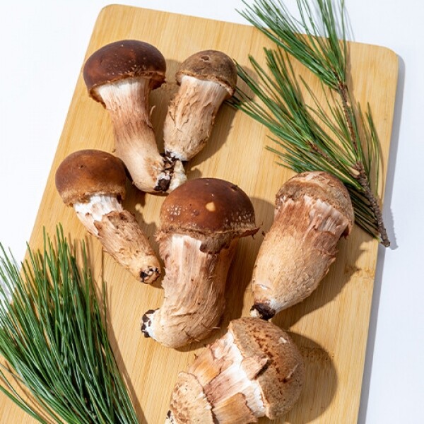 참송이버섯 150g /250g /500g /1kg _우리팜