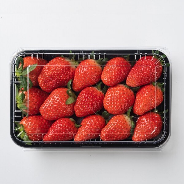 산엔청쇼핑몰,산청장희딸기 350g,500g _우리농원