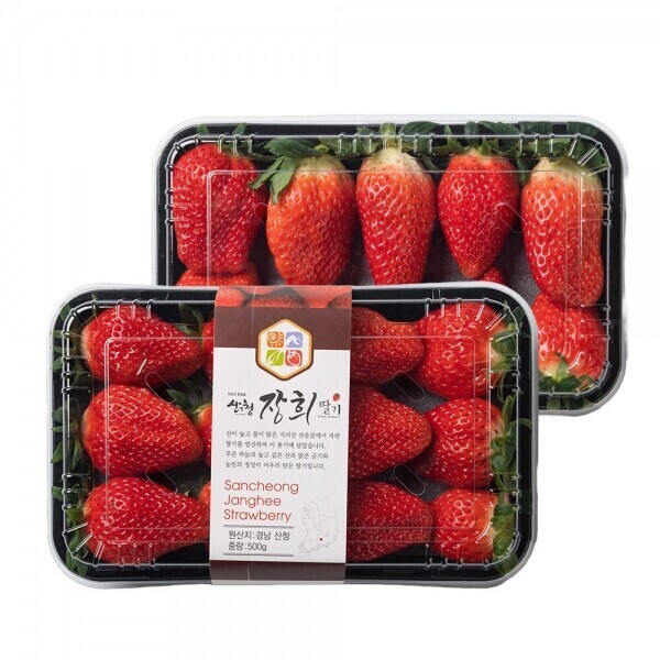 산엔청쇼핑몰,산청장희딸기 350g,500g _우리농원