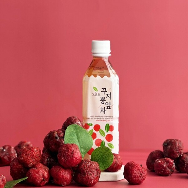 오늘도 꾸지뽕잎차 500ml x 24병입 _산청한방꾸지뽕영농조합법인