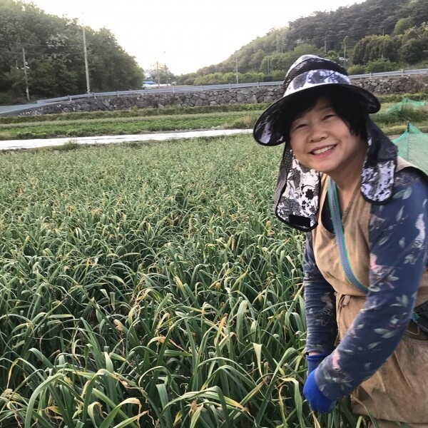 산엔청쇼핑몰,산청장희딸기 350g,500g _우리농원