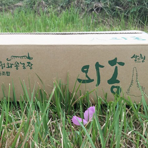 산엔청쇼핑몰,산청장희딸기 350g,500g _우리농원