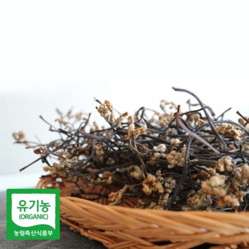 산엔청쇼핑몰,산청장희딸기 350g,500g _우리농원