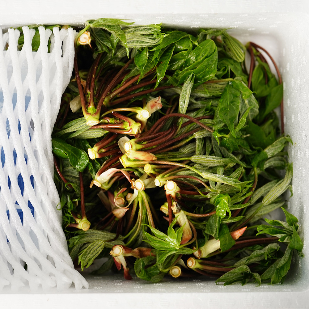 산엔청쇼핑몰,산청장희딸기 350g,500g _우리농원