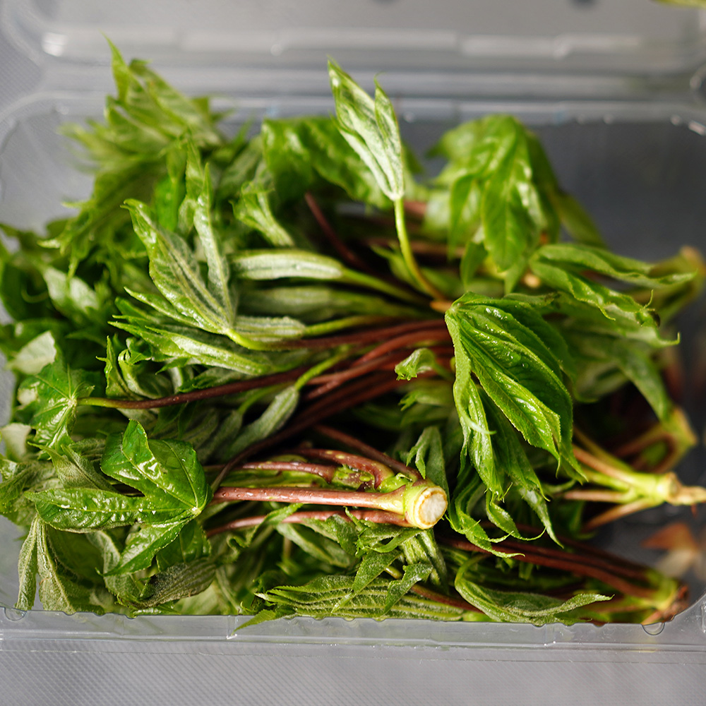 산엔청쇼핑몰,산청장희딸기 350g,500g _우리농원