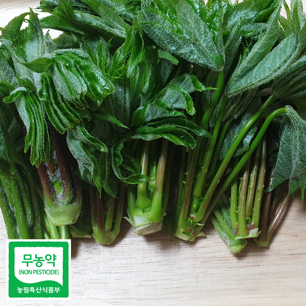산엔청쇼핑몰,산청장희딸기 350g,500g _우리농원