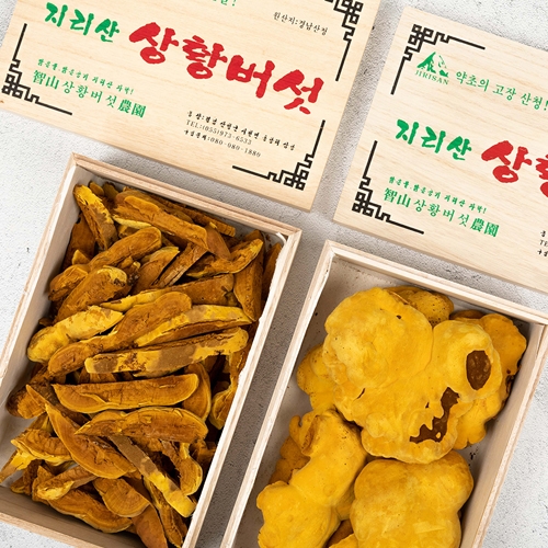 산엔청쇼핑몰,지리산 상황버섯(원형/절편)200g,300g _지리산웰빙농원